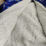 کابشن فضانورد