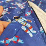 کابشن فضانورد