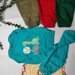 ست دایناسور پلاک پشت