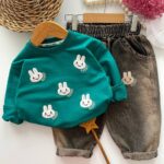 ست بیرونی خرگوش