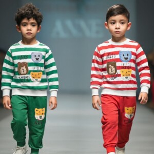 ست راه راه حیوانات